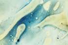 Paint-oil and water Art Print